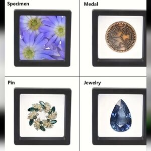 Floating Frame Display (2)